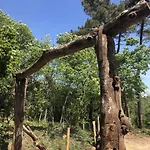 Agriglamping La Diaccia *