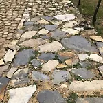 אוהל מפואר Agriglamping La Diaccia *