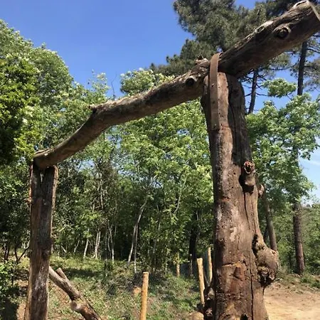 Agriglamping La Diaccia *